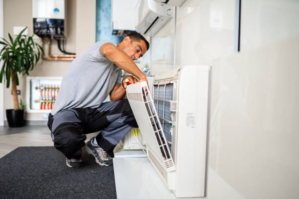 Best Air Duct Sanitizing Services  in Muttontown, NY