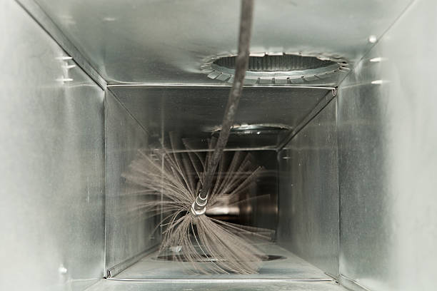Air Duct Mold Removal in NY